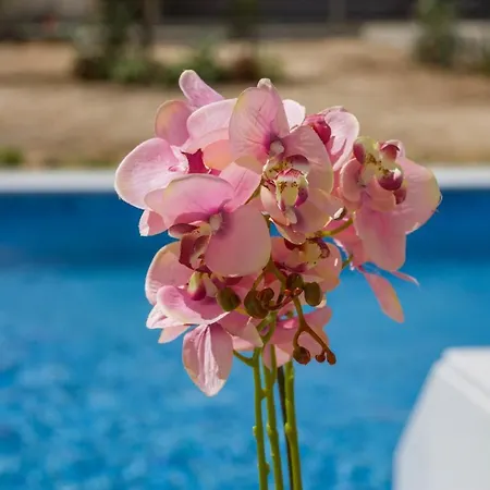 Enchanted Sunlit Retreat * イスミア