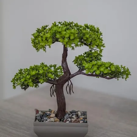 Enchanted Sunlit Retreat Isthmia