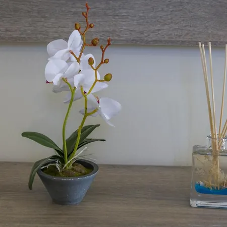 Enchanted Sunlit Retreat *