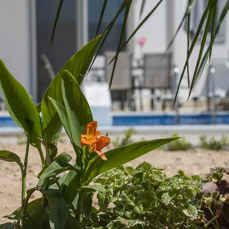 Enchanted Sunlit Retreat *