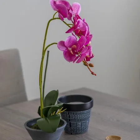 Enchanted Sunlit Retreat Vila Isthmia