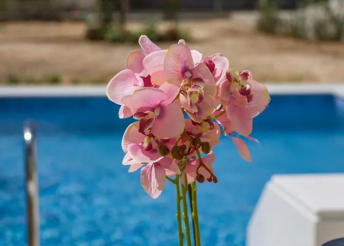 Enchanted Sunlit Retreat * Isthmia