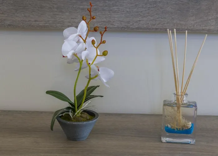 Enchanted Sunlit Retreat *