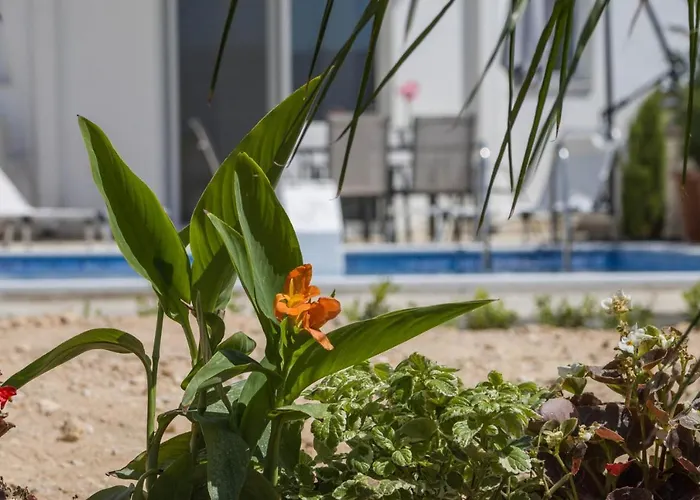 Enchanted Sunlit Retreat *