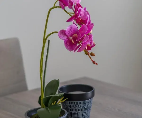 Enchanted Sunlit Retreat Villa Isthmia